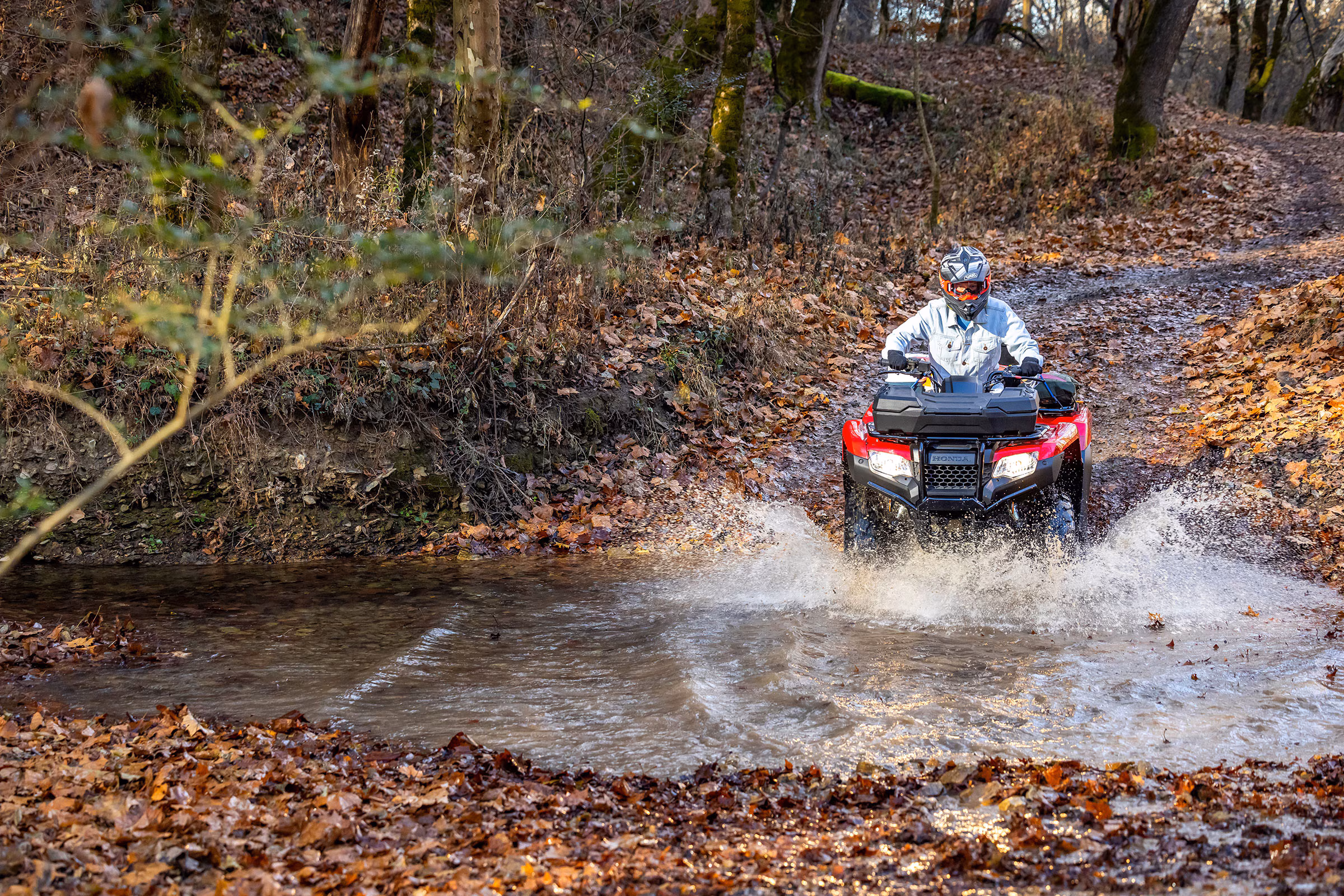 TRX 420 FourTrax em uso, visão traseira - 3 de 10
